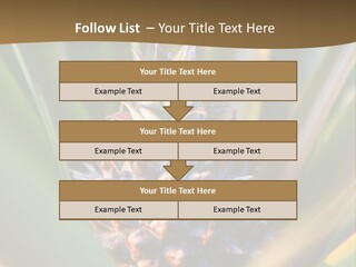 Fruit Produce Rwanda PowerPoint Template