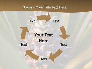 Fruit Produce Rwanda PowerPoint Template