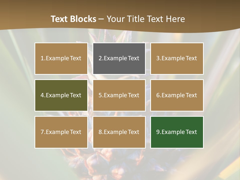 Fruit Produce Rwanda PowerPoint Template