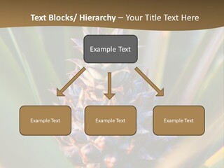 Fruit Produce Rwanda PowerPoint Template