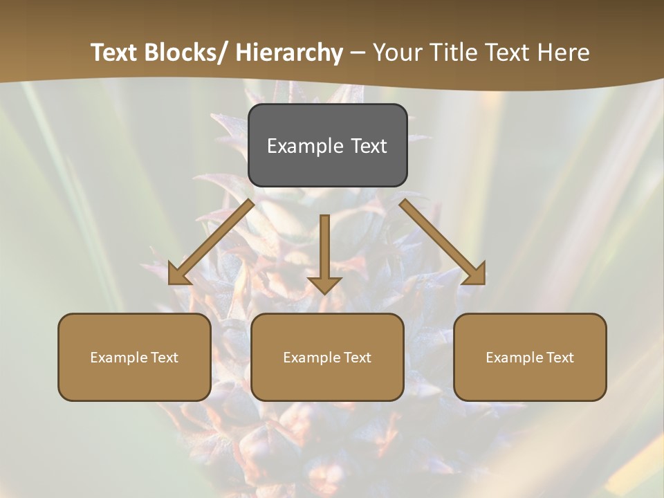 Fruit Produce Rwanda PowerPoint Template