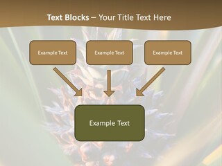 Fruit Produce Rwanda PowerPoint Template