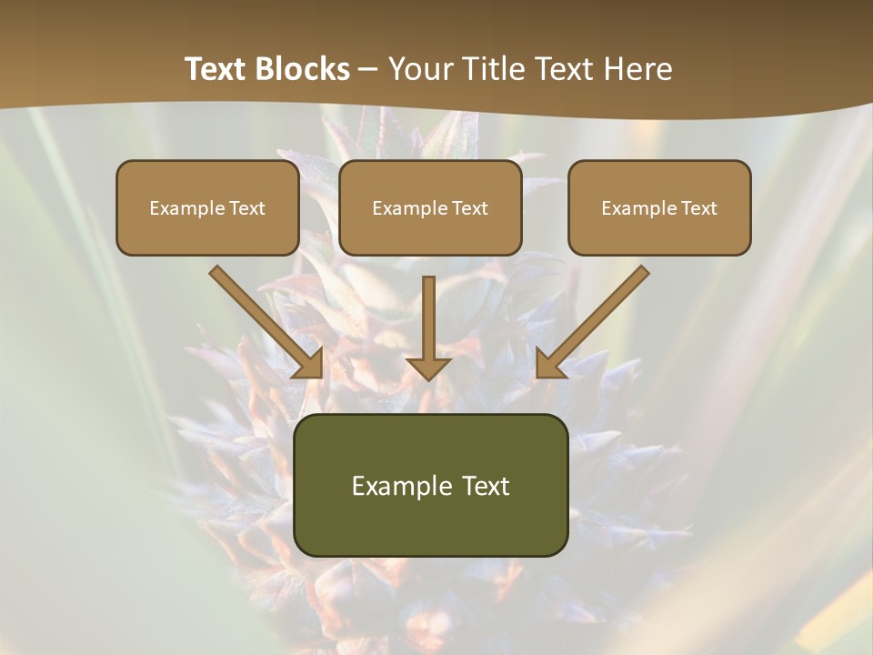 Fruit Produce Rwanda PowerPoint Template