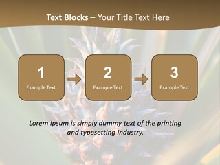 Fruit Produce Rwanda PowerPoint Template