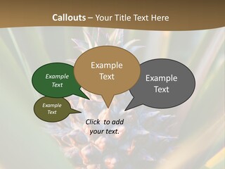 Fruit Produce Rwanda PowerPoint Template