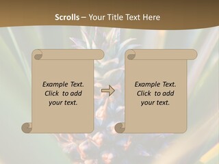 Fruit Produce Rwanda PowerPoint Template