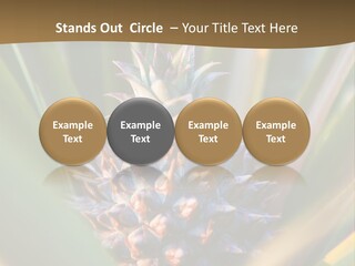 Fruit Produce Rwanda PowerPoint Template