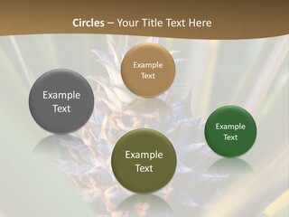 Fruit Produce Rwanda PowerPoint Template