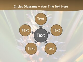 Fruit Produce Rwanda PowerPoint Template