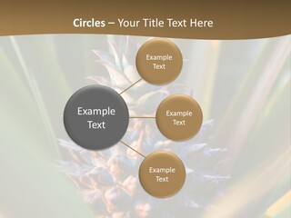 Fruit Produce Rwanda PowerPoint Template