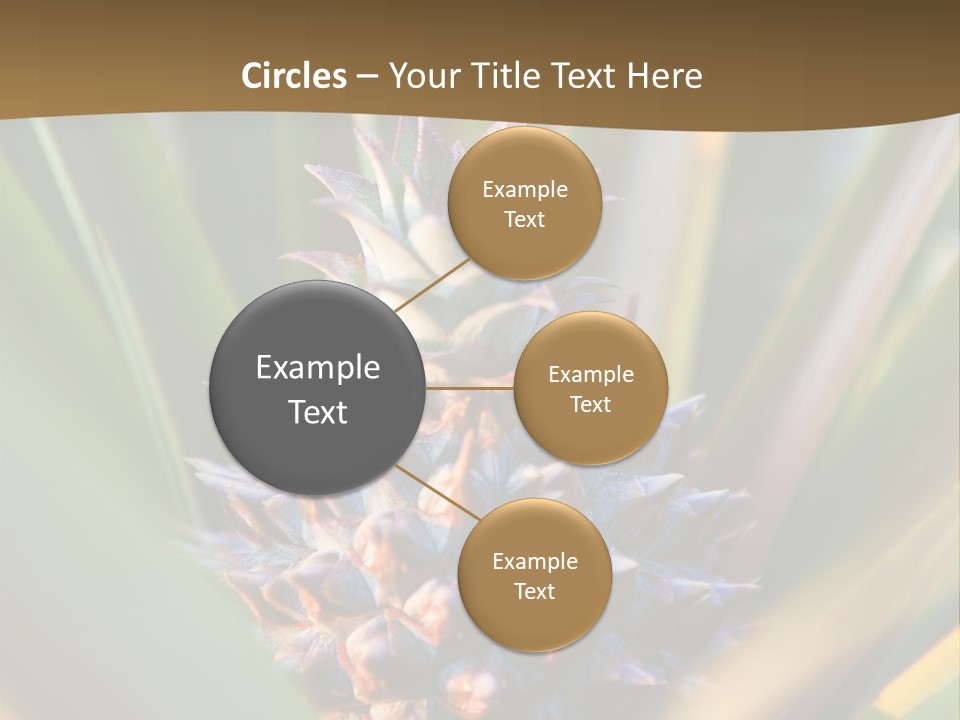 Fruit Produce Rwanda PowerPoint Template