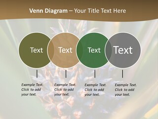 Fruit Produce Rwanda PowerPoint Template