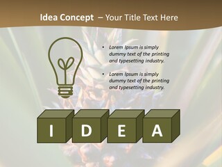 Fruit Produce Rwanda PowerPoint Template