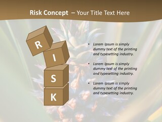 Fruit Produce Rwanda PowerPoint Template