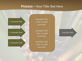 Fruit Produce Rwanda PowerPoint Template