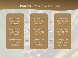 Fruit Produce Rwanda PowerPoint Template