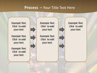 Fruit Produce Rwanda PowerPoint Template