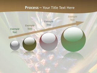 Fruit Produce Rwanda PowerPoint Template