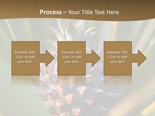 Fruit Produce Rwanda PowerPoint Template
