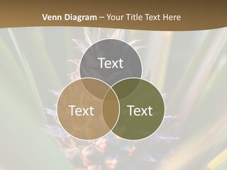 Fruit Produce Rwanda PowerPoint Template