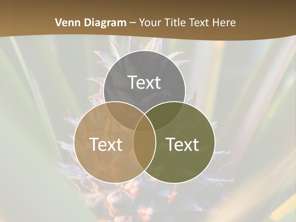 Fruit Produce Rwanda PowerPoint Template