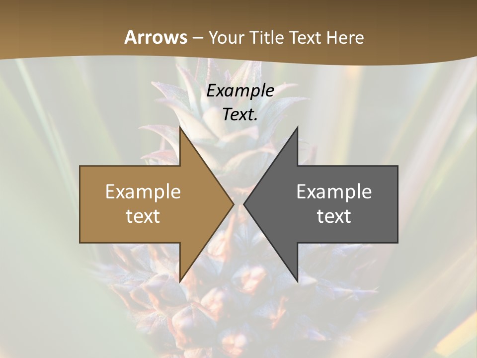 Fruit Produce Rwanda PowerPoint Template