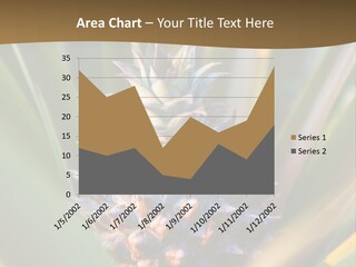 Fruit Produce Rwanda PowerPoint Template