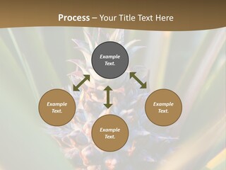 Fruit Produce Rwanda PowerPoint Template