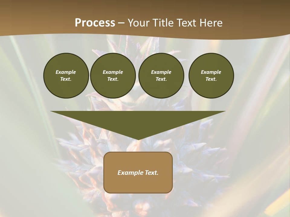 Fruit Produce Rwanda PowerPoint Template