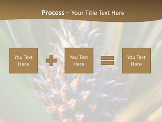 Fruit Produce Rwanda PowerPoint Template