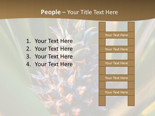 Fruit Produce Rwanda PowerPoint Template