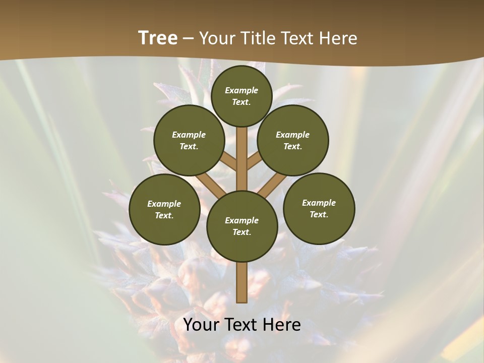 Fruit Produce Rwanda PowerPoint Template