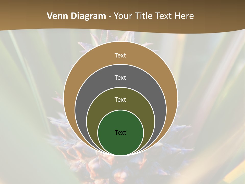 Fruit Produce Rwanda PowerPoint Template