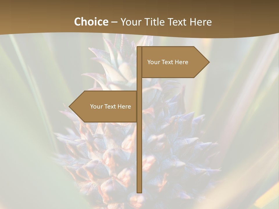 Fruit Produce Rwanda PowerPoint Template