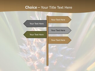 Fruit Produce Rwanda PowerPoint Template