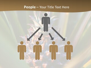 Fruit Produce Rwanda PowerPoint Template