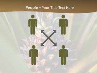 Fruit Produce Rwanda PowerPoint Template