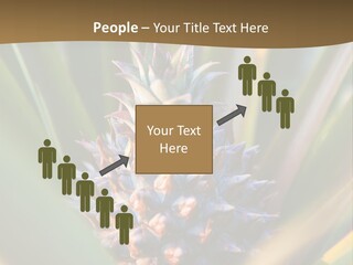 Fruit Produce Rwanda PowerPoint Template