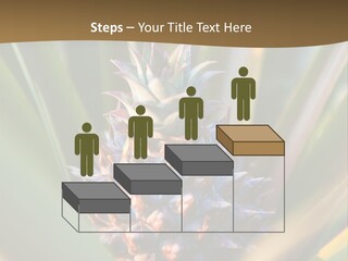 Fruit Produce Rwanda PowerPoint Template