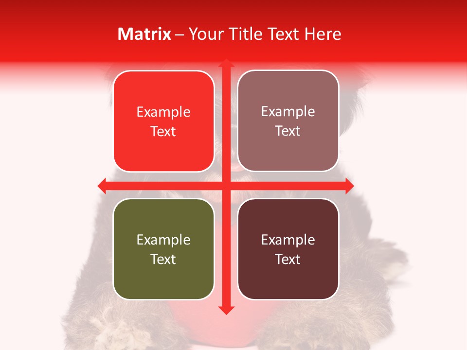 Happy Breed Young PowerPoint Template