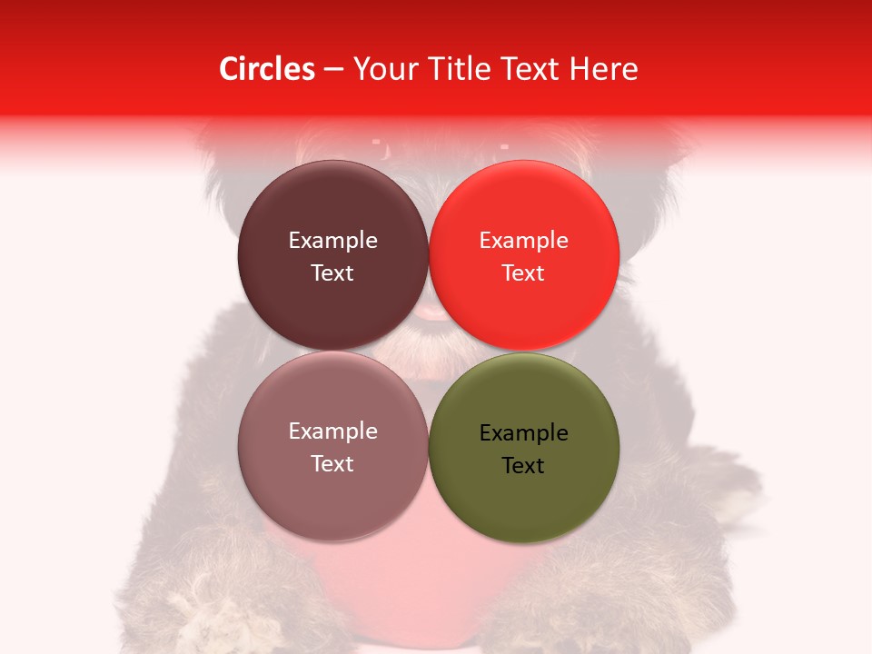 Happy Breed Young PowerPoint Template