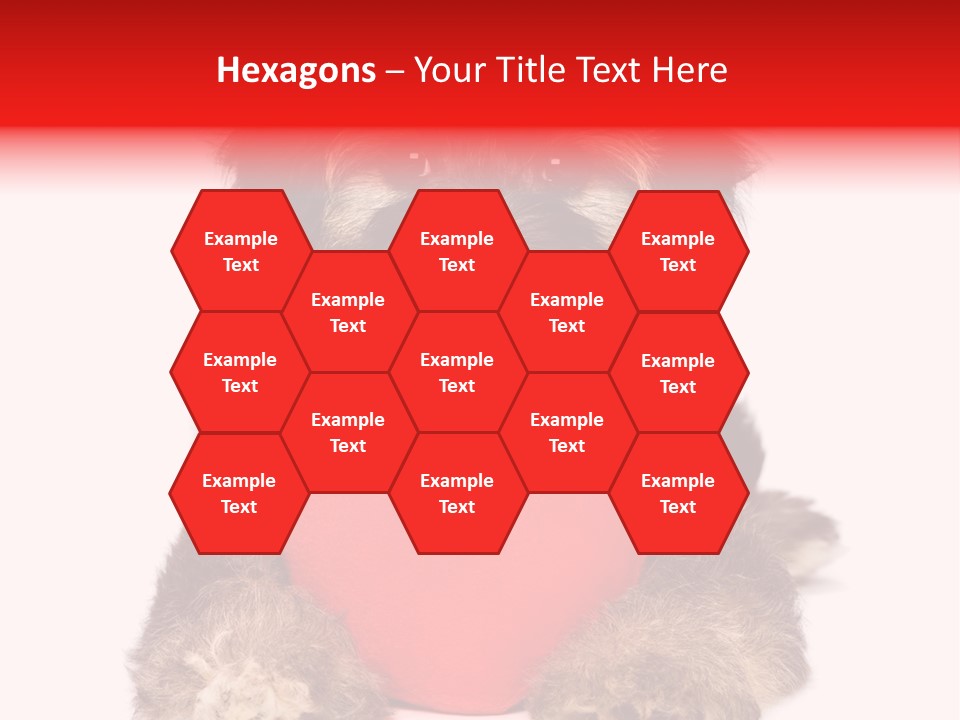 Happy Breed Young PowerPoint Template