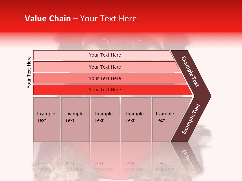Happy Breed Young PowerPoint Template