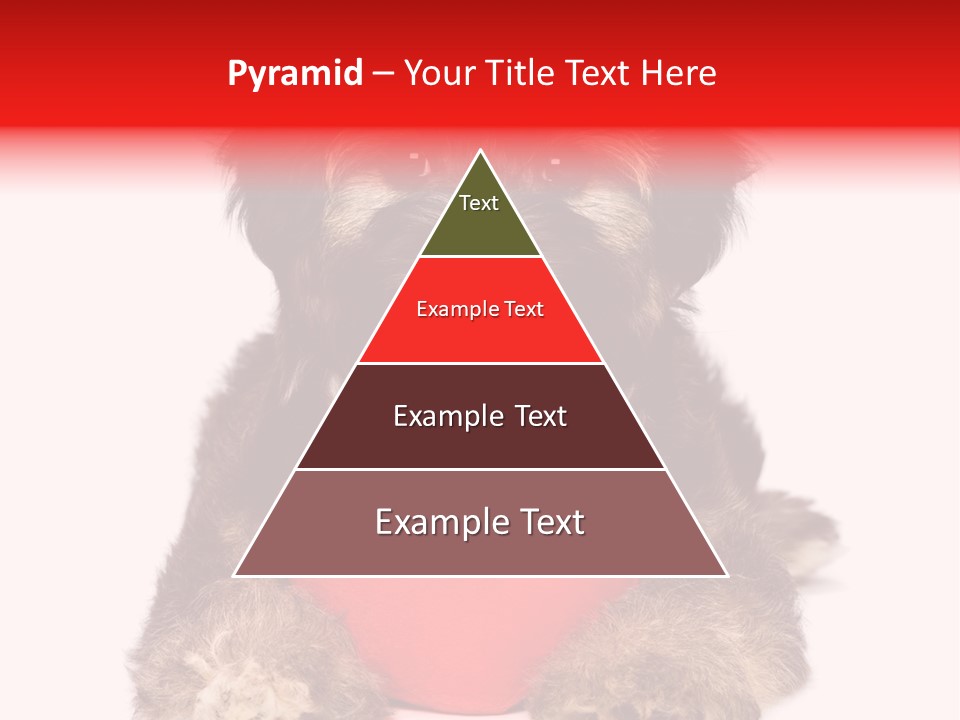 Happy Breed Young PowerPoint Template