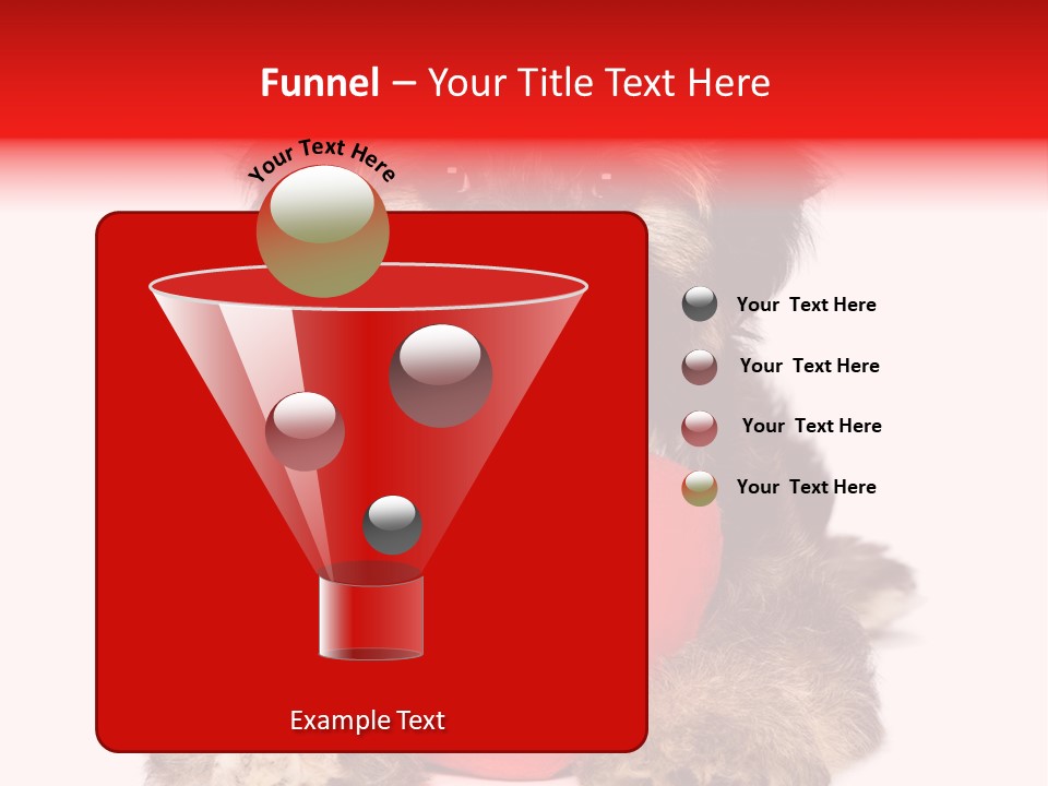 Happy Breed Young PowerPoint Template