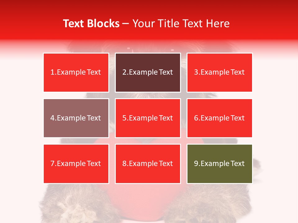 Happy Breed Young PowerPoint Template