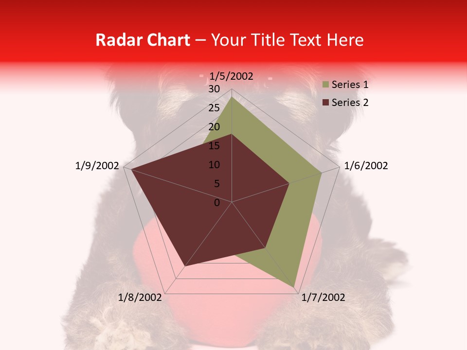 Happy Breed Young PowerPoint Template