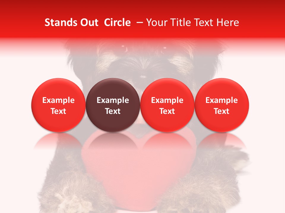 Happy Breed Young PowerPoint Template