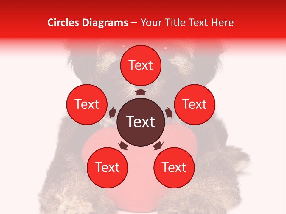 Happy Breed Young PowerPoint Template