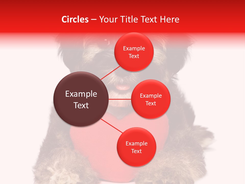 Happy Breed Young PowerPoint Template